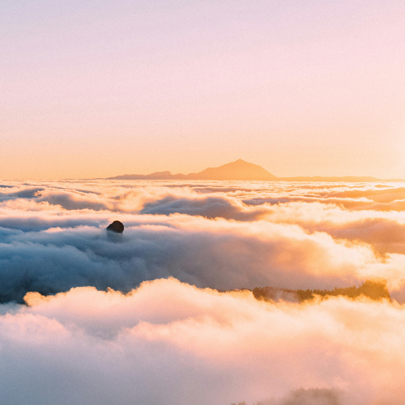 Tecnología hecha en Canarias para el mundo