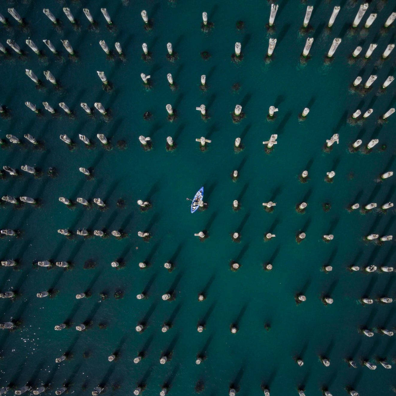 20 años creando soluciones<br>digitales